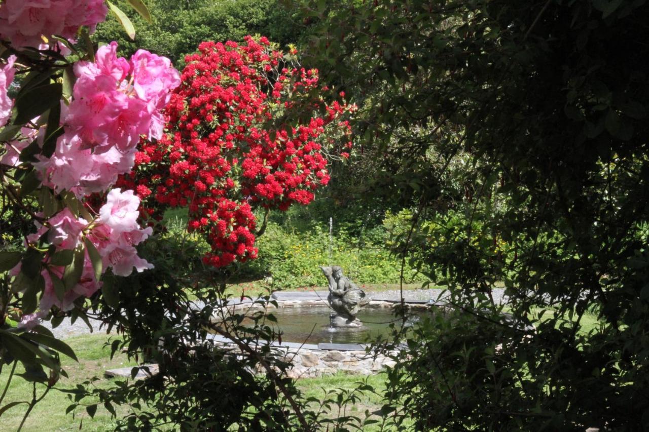 Devon Country Paradise Tavistock  Exteriér fotografie