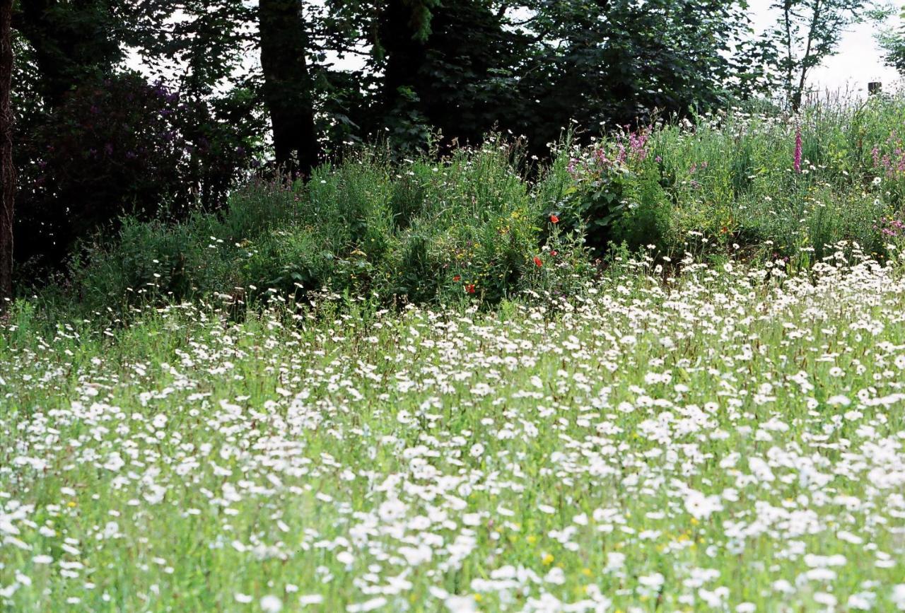 Devon Country Paradise Tavistock  Exteriér fotografie