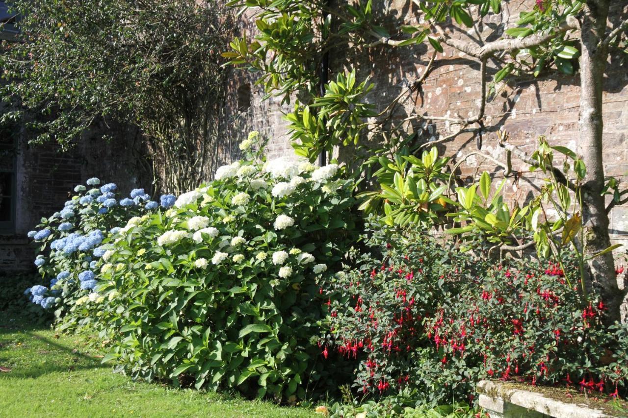 Devon Country Paradise Tavistock  Exteriér fotografie