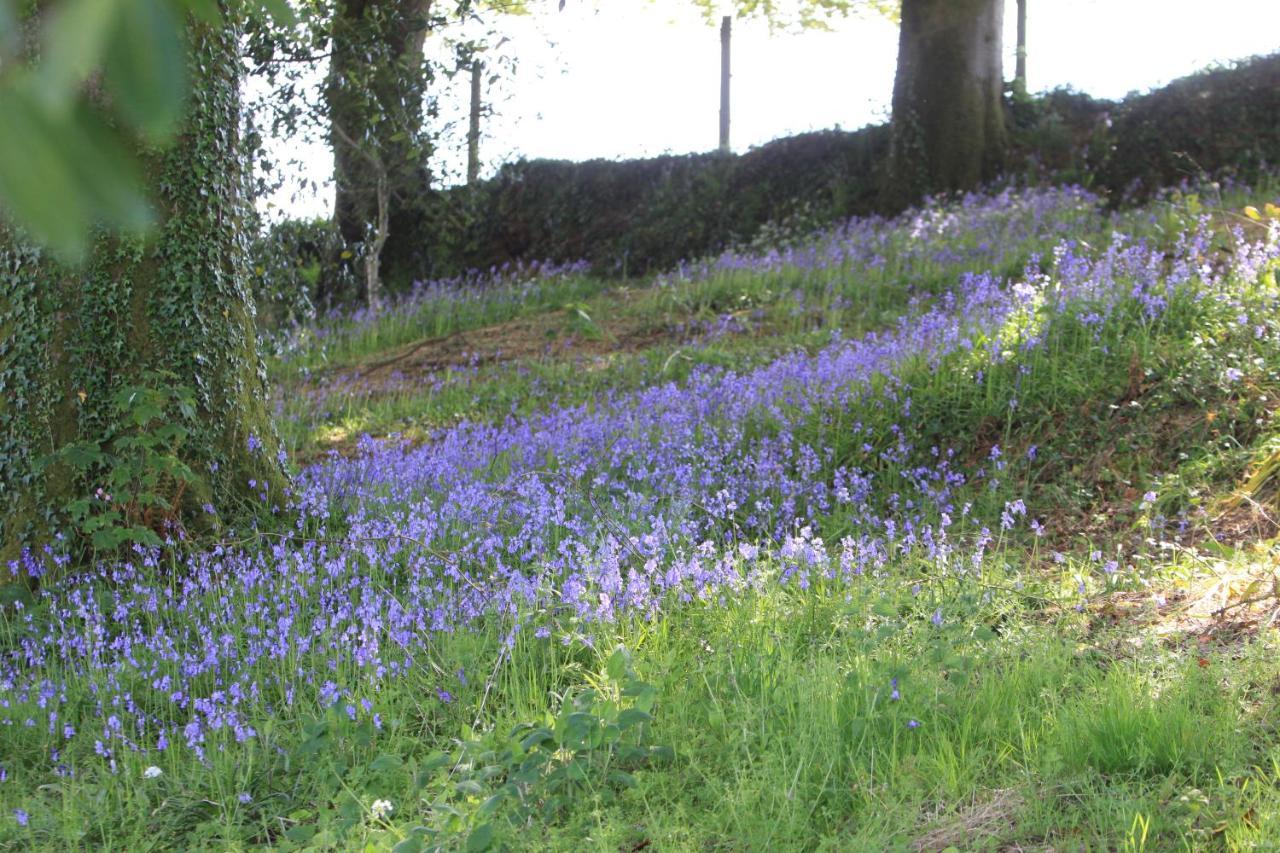 Devon Country Paradise Tavistock  Exteriér fotografie